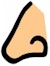 Smell - Nose