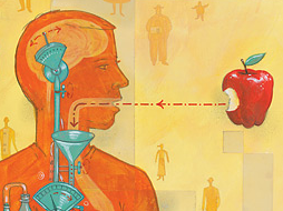 Time - Science OF Appetite