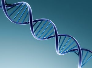 dna double helix
