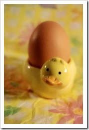 ceramic_chicken_with_egg