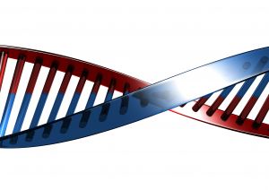 dna_double_helix2