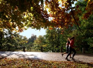 running_in_the_park